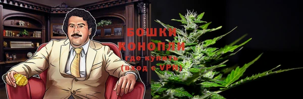 mdma Богородицк